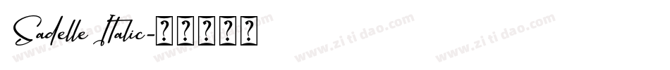 Sadelle Italic字体转换